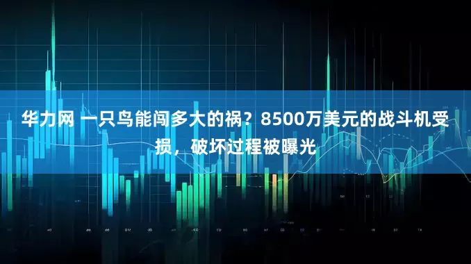 华力网 一只鸟能闯多大的祸？8500万美元的战斗机受损，破坏过程被曝光
